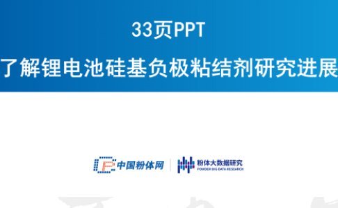 33頁PPT了解鋰電池硅基負極粘結(jié)劑研究進展
