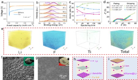大連化物所吳忠?guī)浾n題組EnSM：3D打印超高面能量密度鋰金屬電池的理性設(shè)計