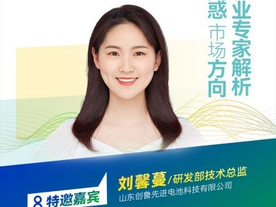 【會議報告】石榴石固體電解質研究進展與面臨的關鍵問題