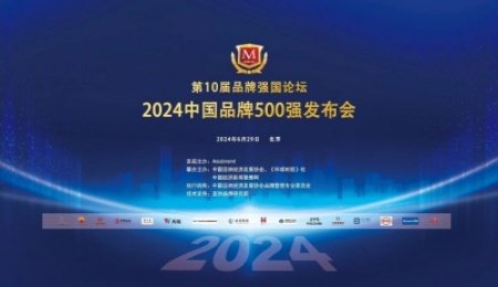 2024年“中國品牌500強”中的鋰電企業(yè)