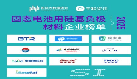 2025年固態(tài)電池用硅基負(fù)極材料企業(yè)榜單