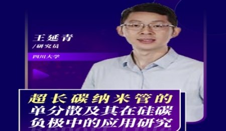 【會議報告】超長碳納米管的單分散及其在硅碳負(fù)極中的應(yīng)用研究