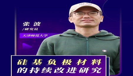 【會議報(bào)告】硅基負(fù)極材料的持續(xù)改進(jìn)研究