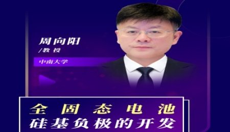 【會議報告】全固態(tài)電池硅基負(fù)極的開發(fā)思考