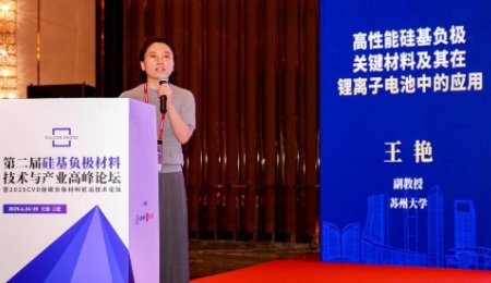 硅基負(fù)極材料表面修飾技術(shù)突破與產(chǎn)業(yè)化路徑探析——訪蘇州大學(xué)王艷副教授