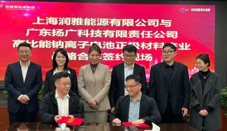 鈉電產業周報——鈉電火熱！多個項目節后開工